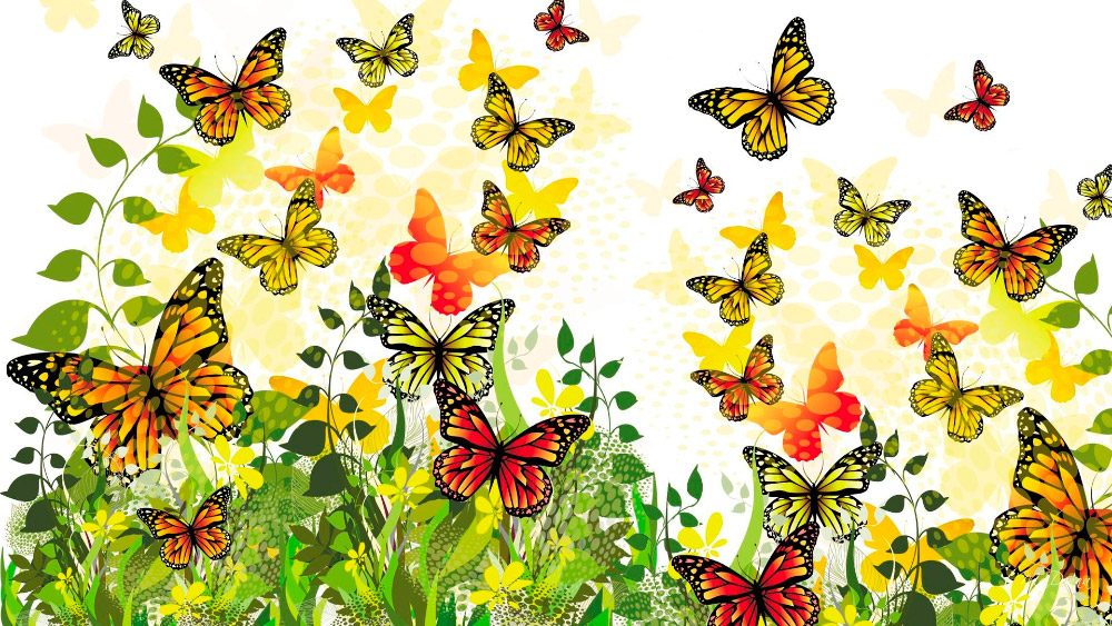Cicatrices de mariposa