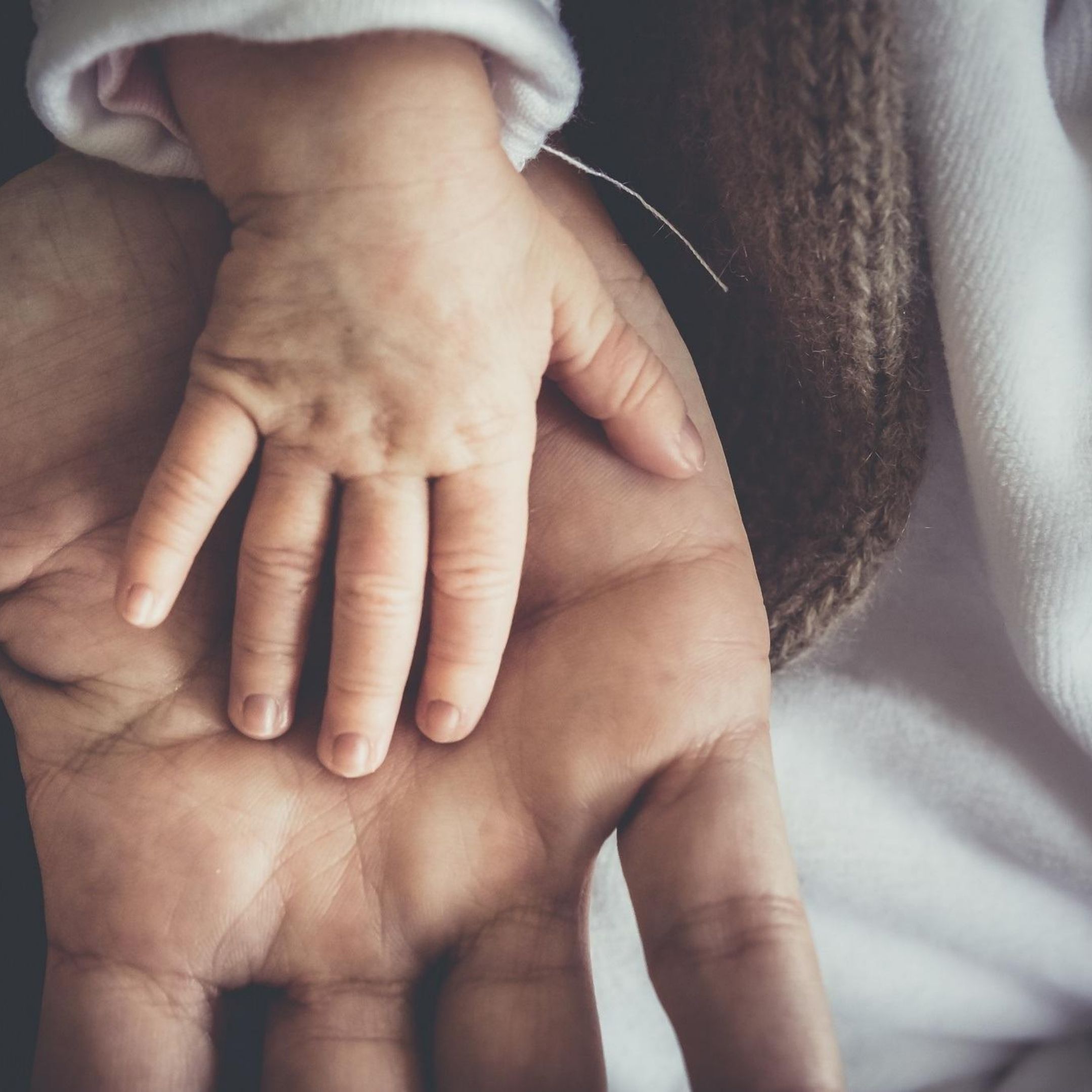 Madres y padres altamente sensibles; Características